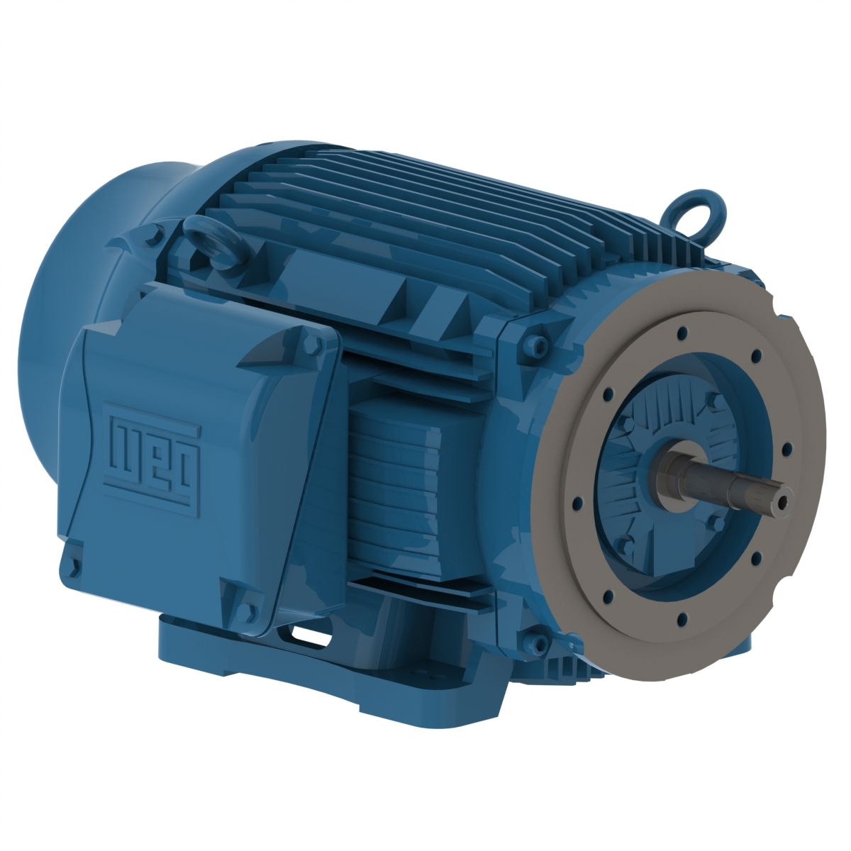 10018ET3G405JM-W22 WEG AC Motor