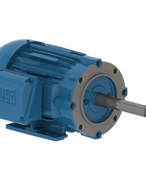 00336ET3E145JP-W22 WEG AC Motor