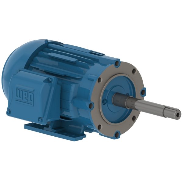 00118EP3E143JP-W22 WEG AC Motor