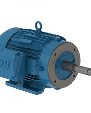 00318ET3H182JP-W22 WEG AC Motor