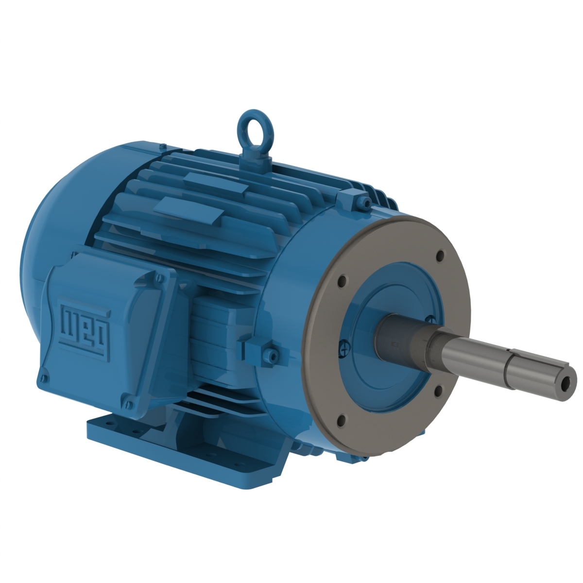 00312ET3E213JP-W22 WEG AC Motor