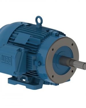 00718ET3H213JP-W22 WEG AC Motor