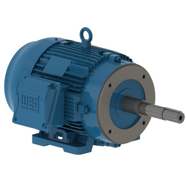 00718EP3E213JP-W22 WEG AC Motor