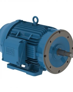 03036ET3V286JP-W22 WEG AC Motor