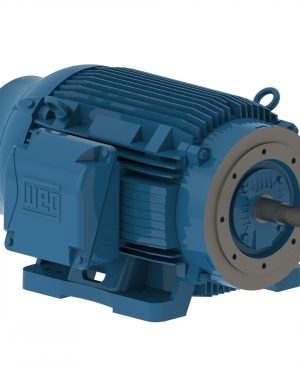 07536ET3E365JP-W22 WEG AC Motor