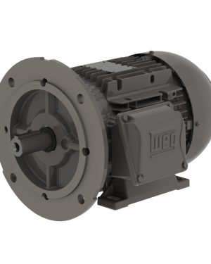 .3718EP3EAL71FF-W22 WEG AC Motor