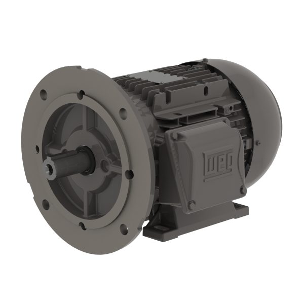 .5518EP3EAL80FF-W22 WEG AC Motor