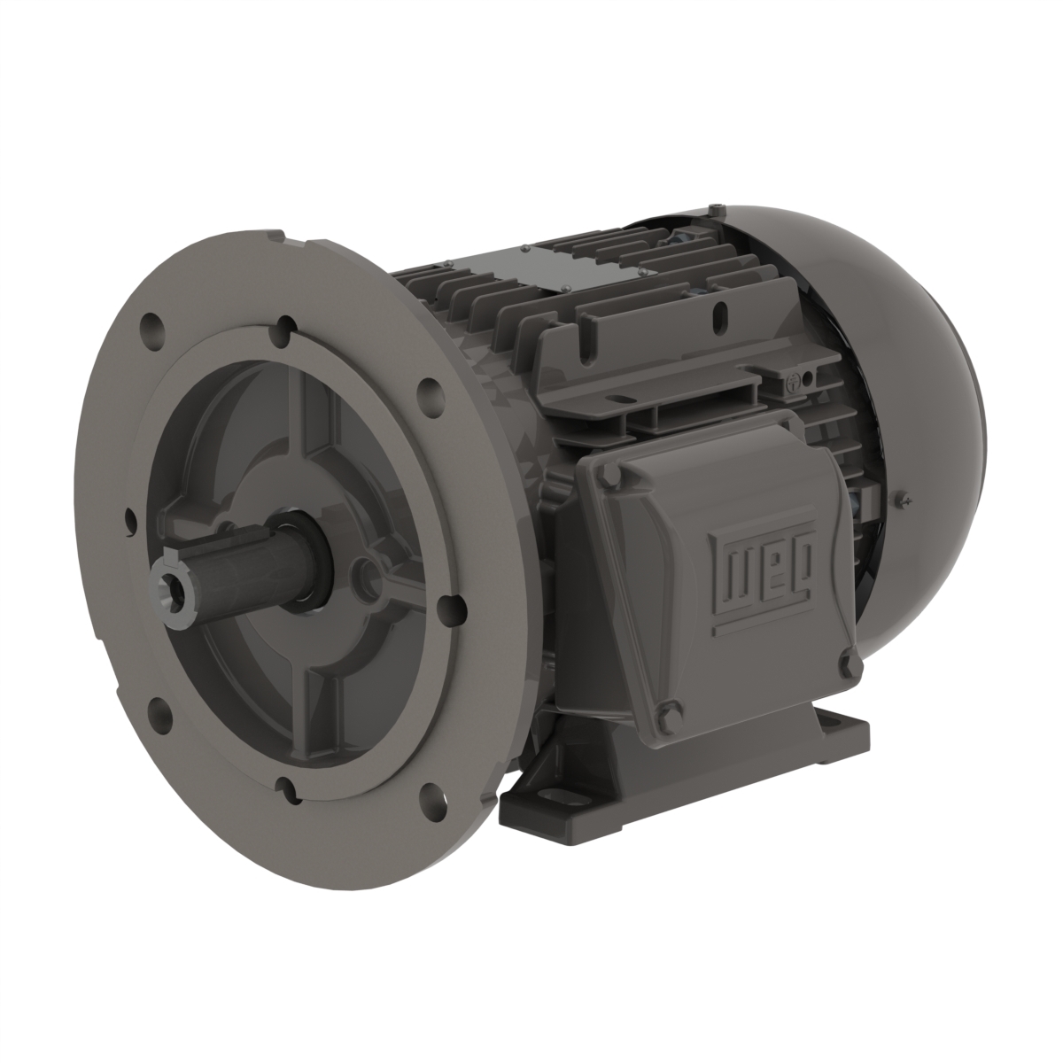 .5518EP3EAL80FF-W22 WEG AC Motor