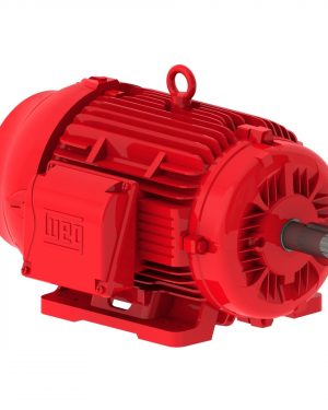 03015EP3OFP286TS-W22 WEG AC Motor