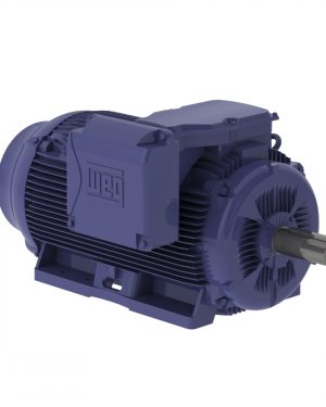 25015EP3OFP449TS-W22 WEG AC Motor