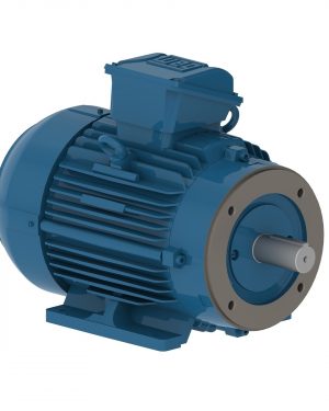 00736ET3J213TCF3-W22 WEG AC Motor