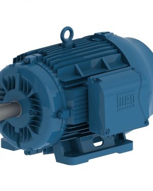 00509ET3Y160M-W22 WEG AC Motor