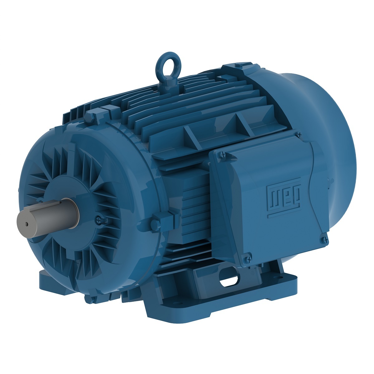 00509ET3Y160M-W22 WEG AC Motor