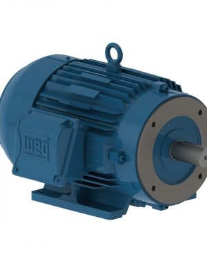 00736ET3H184TC-W22 WEG AC Motor