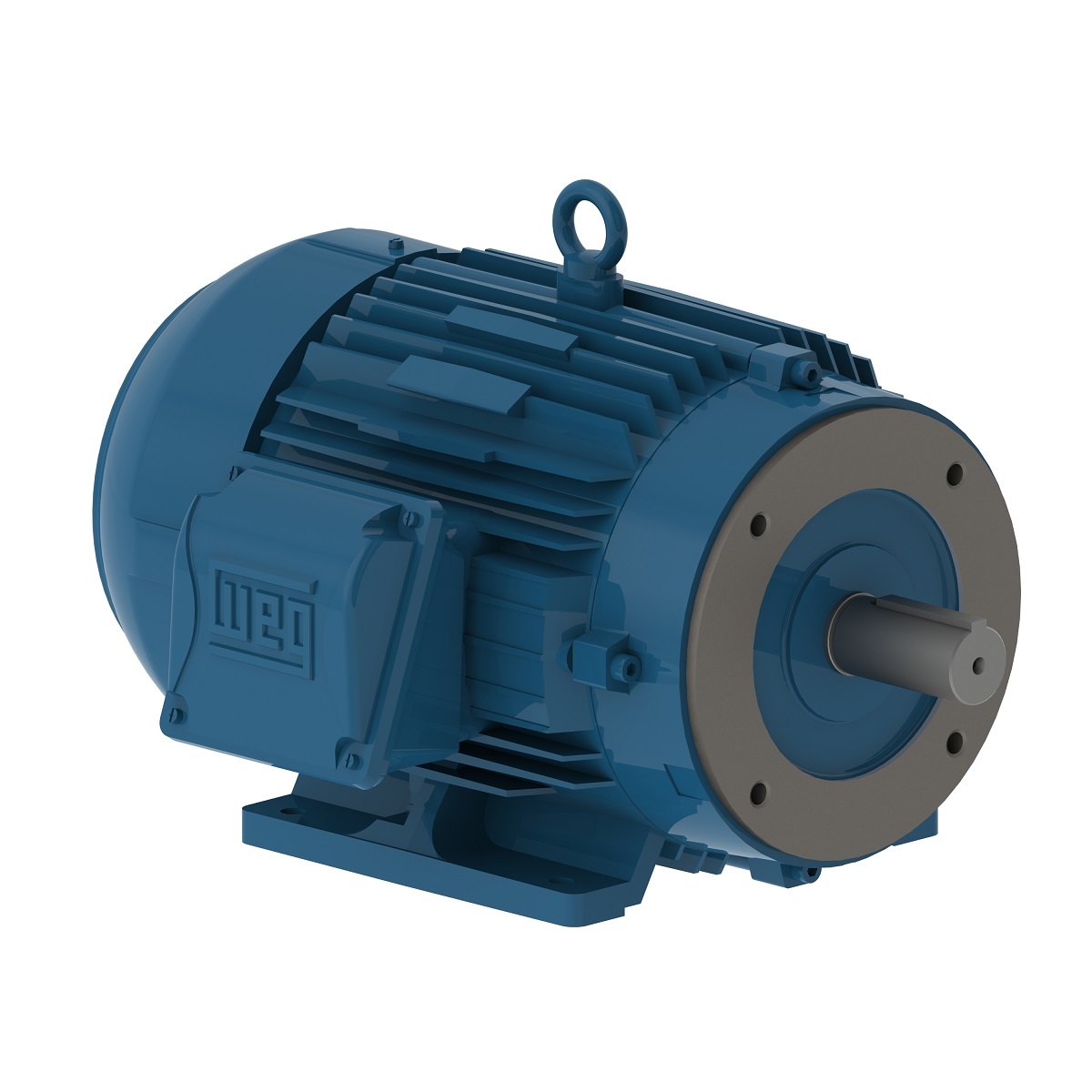 00736ET3H184TC-W22 WEG AC Motor