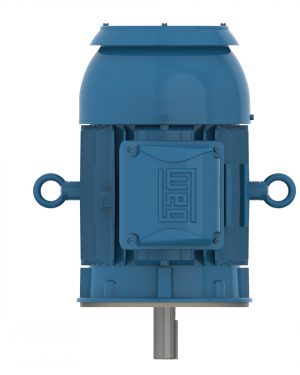 00318EP3ER182TC-W22 WEG AC Motor