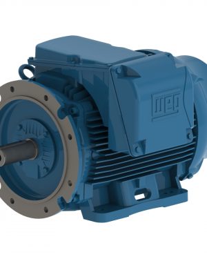 03718ET3Y225S/MFF-W2 WEG AC Motor