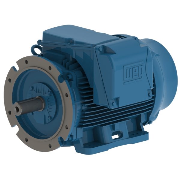03718ET3Y225S/MFF-W2 WEG AC Motor