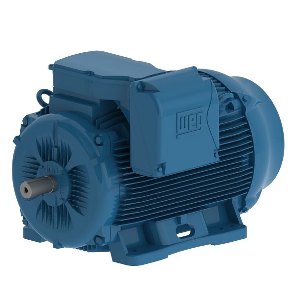 04512ET3Y280S/M-W22 WEG AC Motor