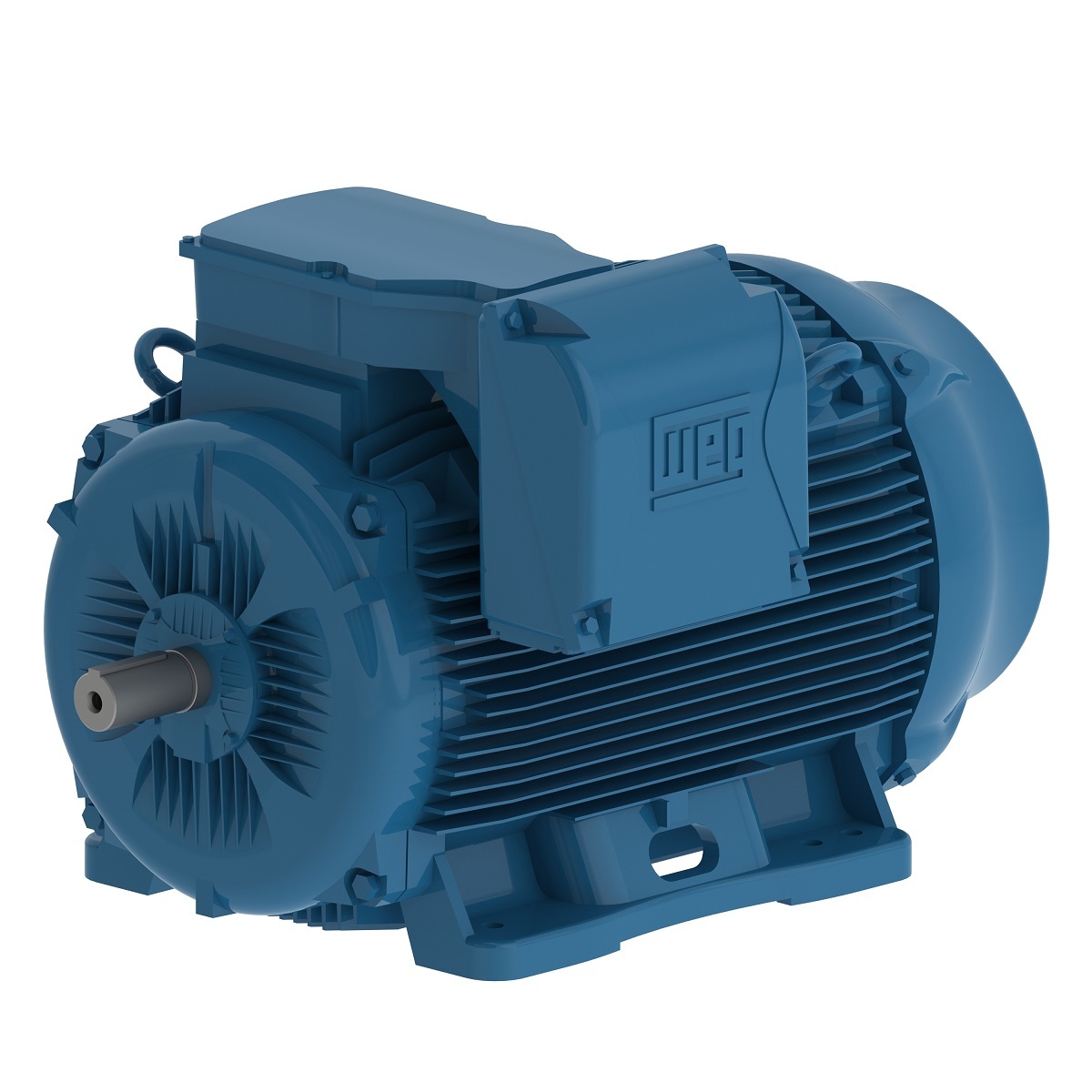 22018ET3Y315L-W22 WEG AC Motor