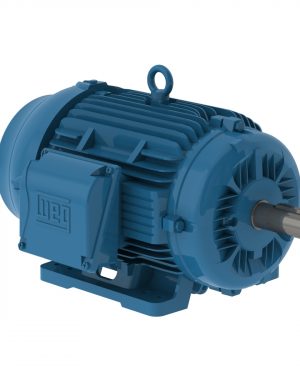 05036ET3H326TS-W22G WEG AC Motor