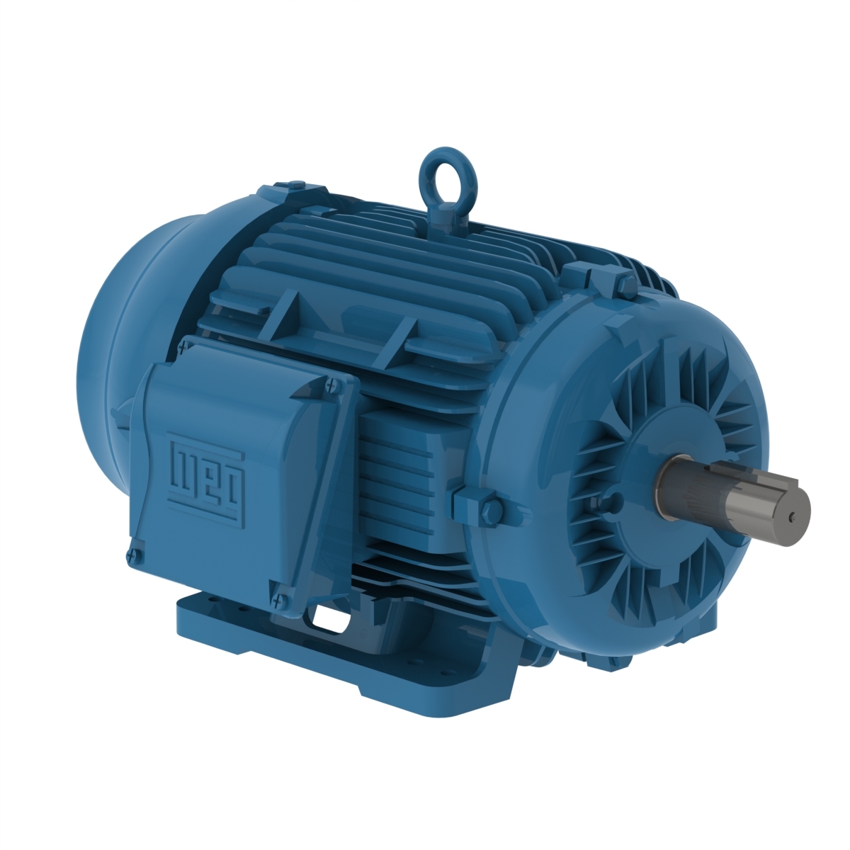 04036ET3H324TS-W22G WEG AC Motor