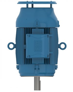 04036ET3ER324TSC-W22 WEG AC Motor