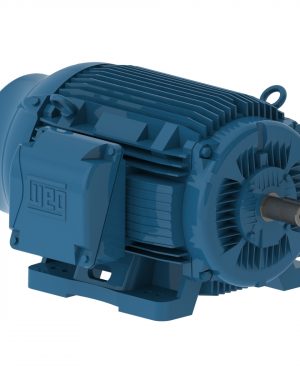 07512ET3H405T-W22G WEG AC Motor