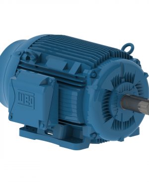 07512ET3E405T-W22G WEG AC Motor