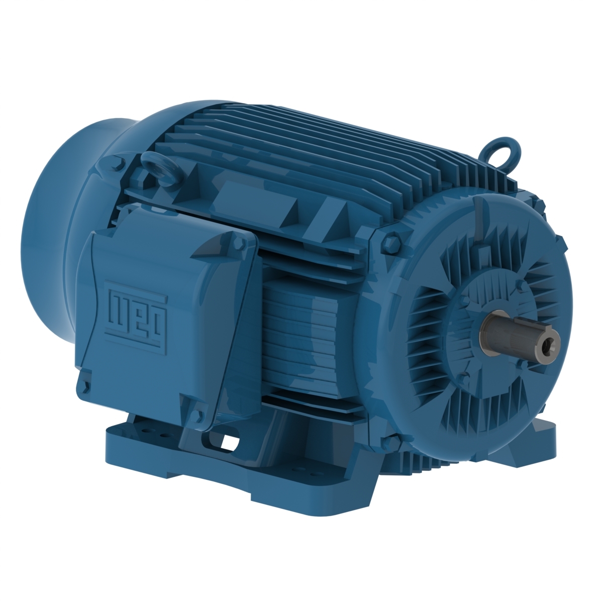 06030EP3OFP364TS-W22 WEG AC Motor