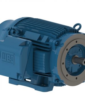 12518ET3G444TC-W22G WEG AC Motor