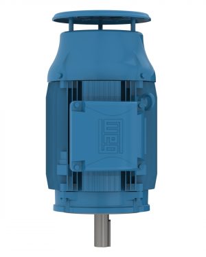 07518ET3ER365TC-W22 WEG AC Motor