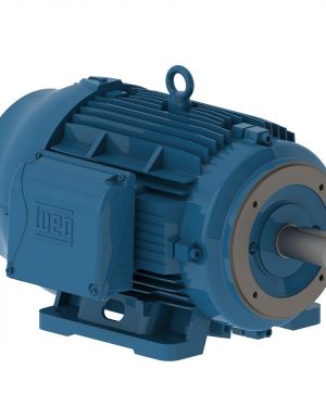 07512ET3H405TC-W22 WEG AC Motor