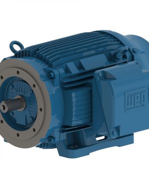 07518ET3E365TSCF2-W2 WEG AC Motor
