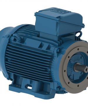 Z07518ET3X122220 WEG AC Motor