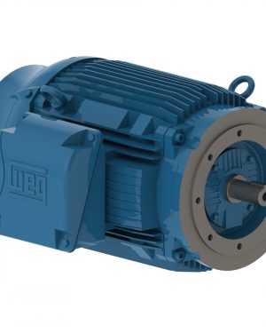 12276612 WEG AC Motor