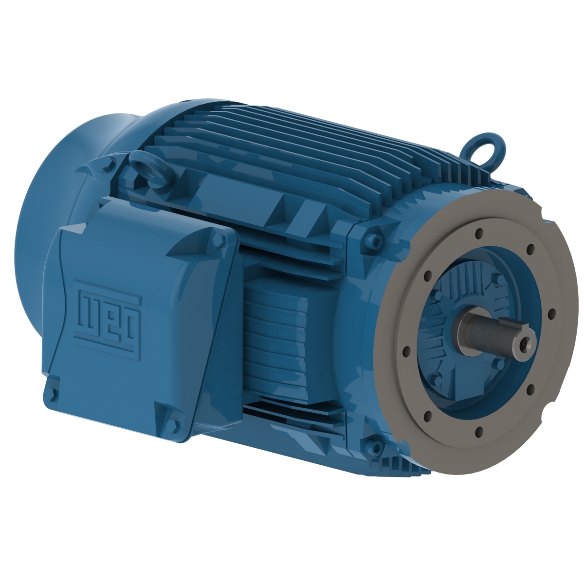 12276612 WEG AC Motor