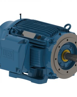 04012ST3QIE364TC-W22 WEG AC Motor
