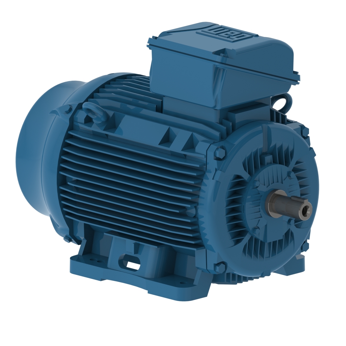 11804451 WEG AC Motor