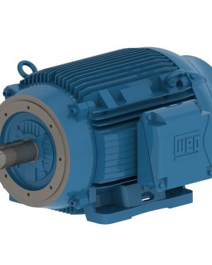 12518ET3G444TSCF2-W2 WEG AC Motor