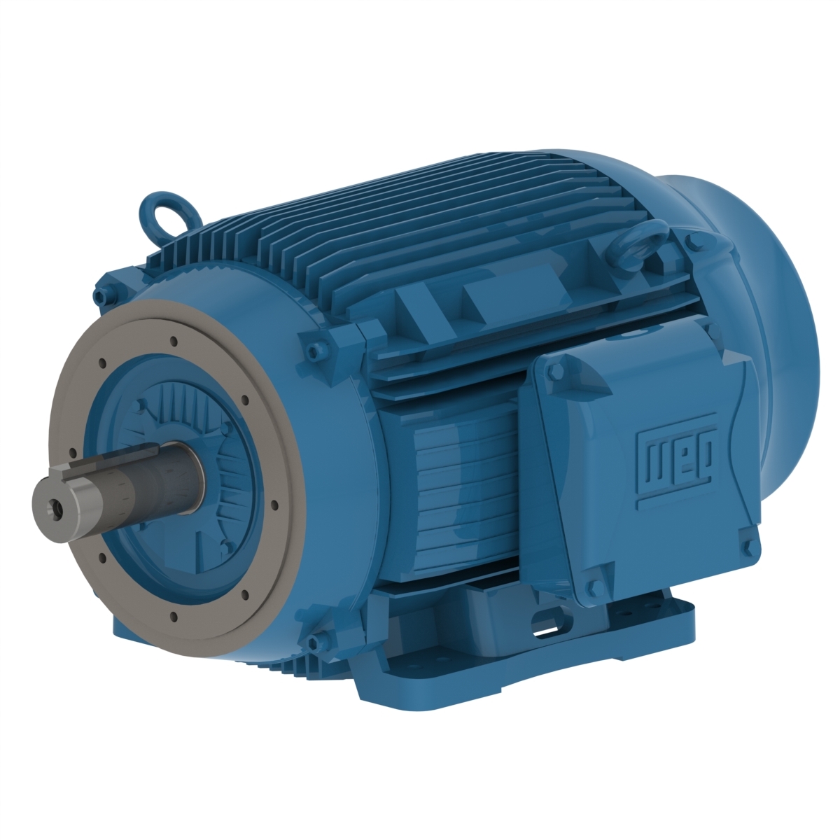 12518ET3G444TSCF2-W2 WEG AC Motor