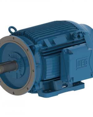 03736ET3Y200LFF-W22 WEG AC Motor