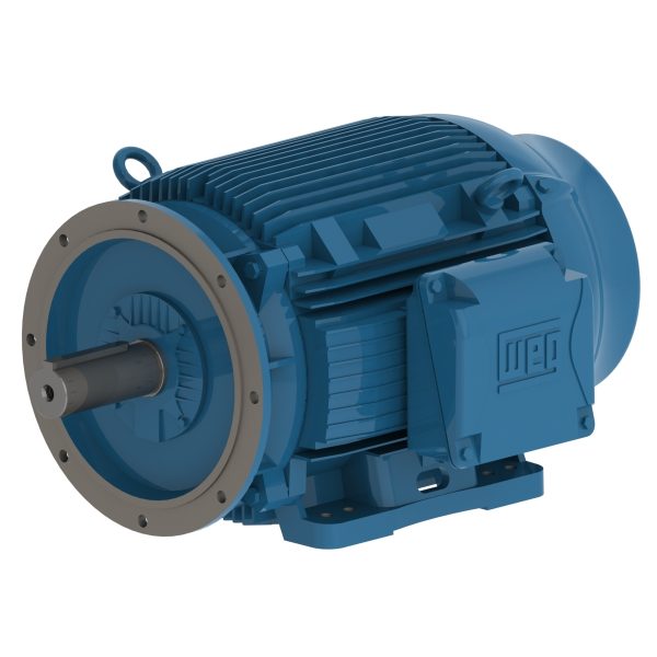 03736ET3Y200LFF-W22 WEG AC Motor