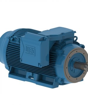 30018ET3G449TC-W22 WEG AC Motor