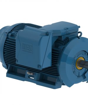 35012ST3QIE449T-W22 WEG AC Motor