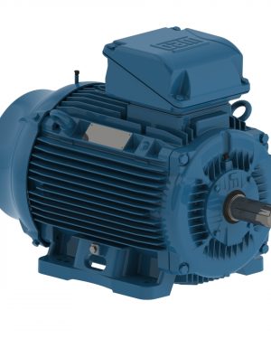 12438187 WEG AC Motor