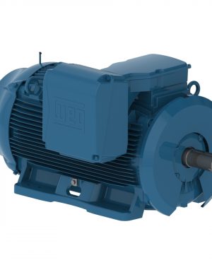 75018ET3G588/9-W22 WEG AC Motor