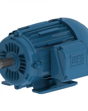 00158ET3W90L-W22 WEG AC Motor