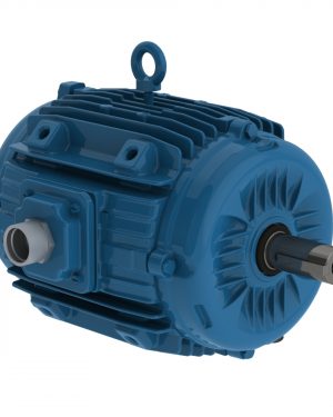 02536ET3EPM284/6YS-W2 WEG AC Motor