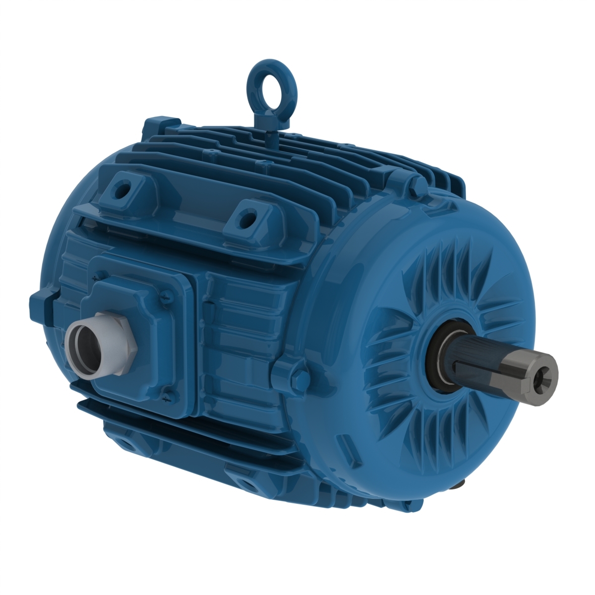 02536ET3EPM284/6YS-W2 WEG AC Motor